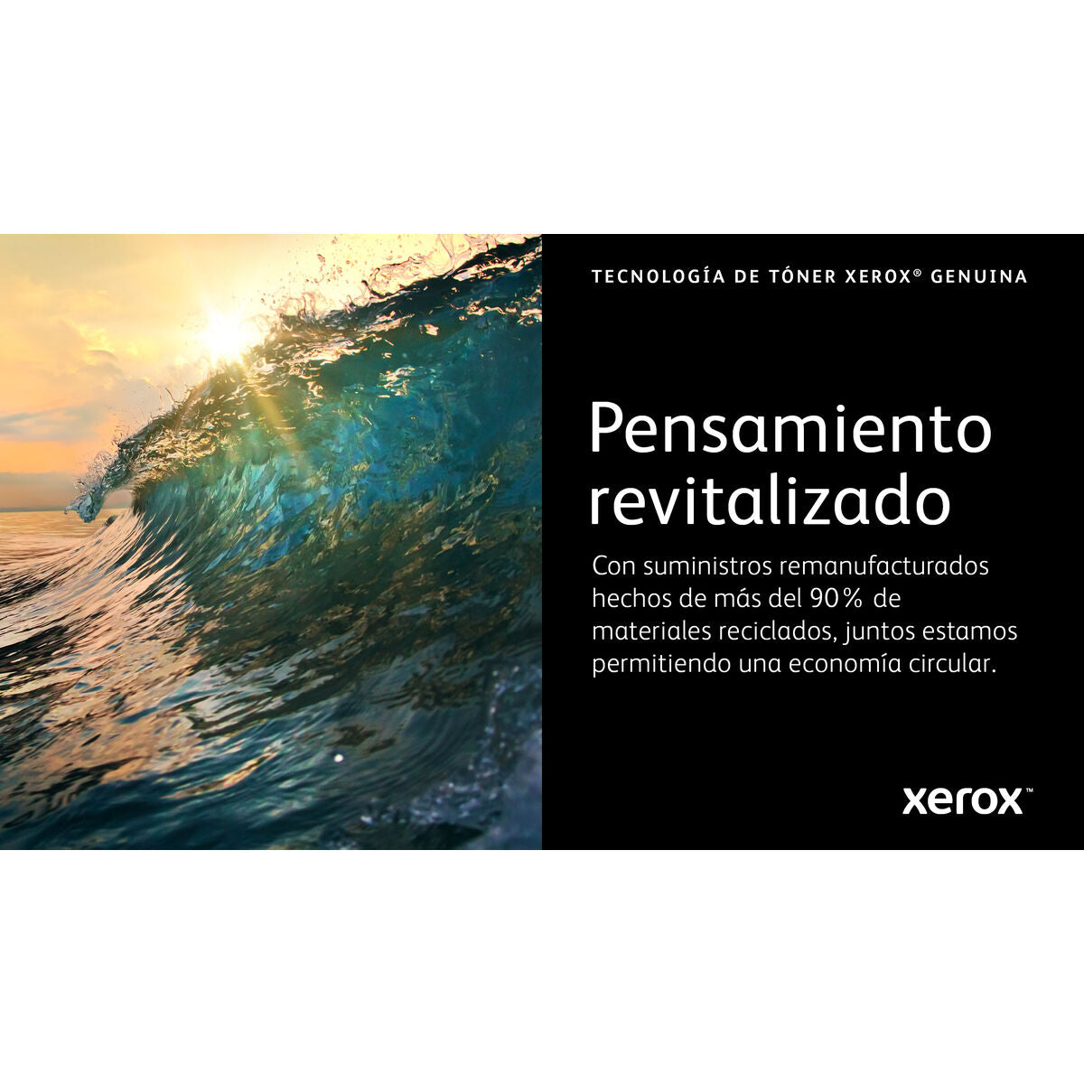 V2HAB4E24983847745223B81E58DC20BA3CR7808843P10