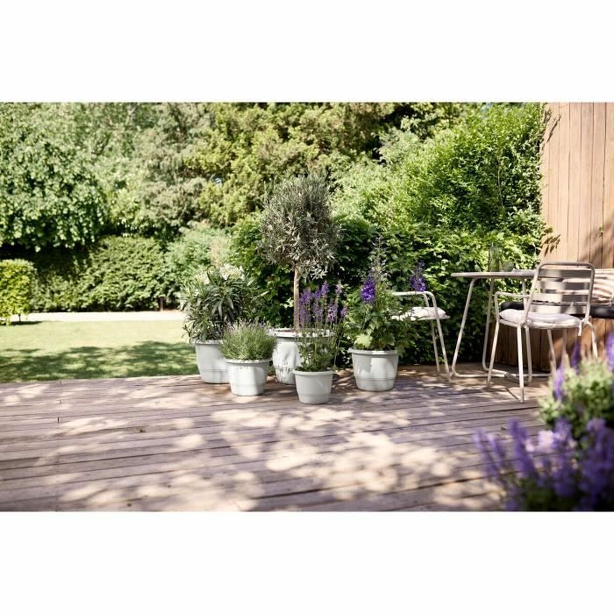 V5H00BE6A1B05BB125AE78CF401D802DF74R5529044P5