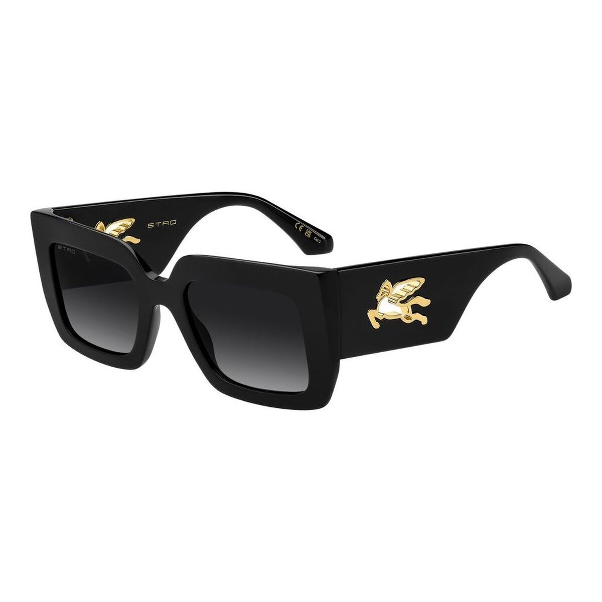 Etro Ladies' Sunglasses Etro Etro 0108_S