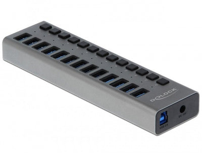 Delock Hub Superspeed USB 3.0 With 13 Ports + Switch — image 1
