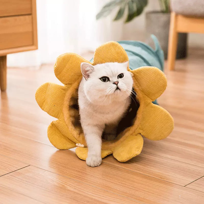 Creative Fruit Cat Tunnel Toy