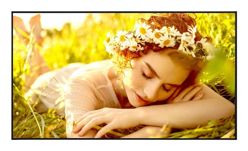 Lg 65UL5Q- Y Pantalla Señalización Pantalla Plana Señalización Digital 165,1CM (65) LED Wi-Fi 350 Cd M² 4K Ultra