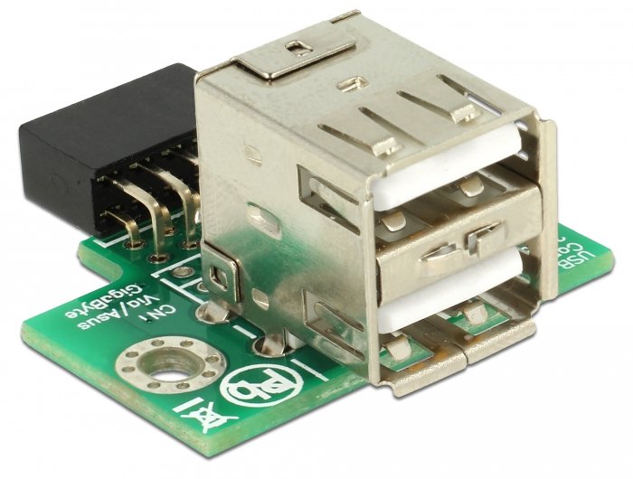 Delock 41429 Head Pin USB Female 2 X USB 2.0 Tipo-a Female - Arriba