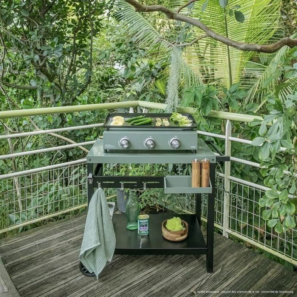 V4H0071D0A27028BD5BB54C925DA876251BR7471733P5