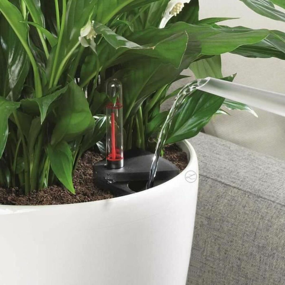 V6H80230FF23334DAC8E9AAB0B7D89DCBA9R7349235P7