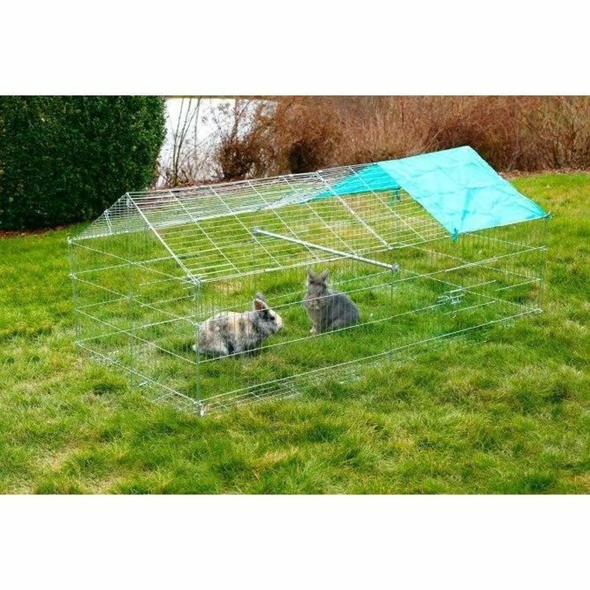 V6H262B810678859720DE93B1B7DF51E069R5568403P5