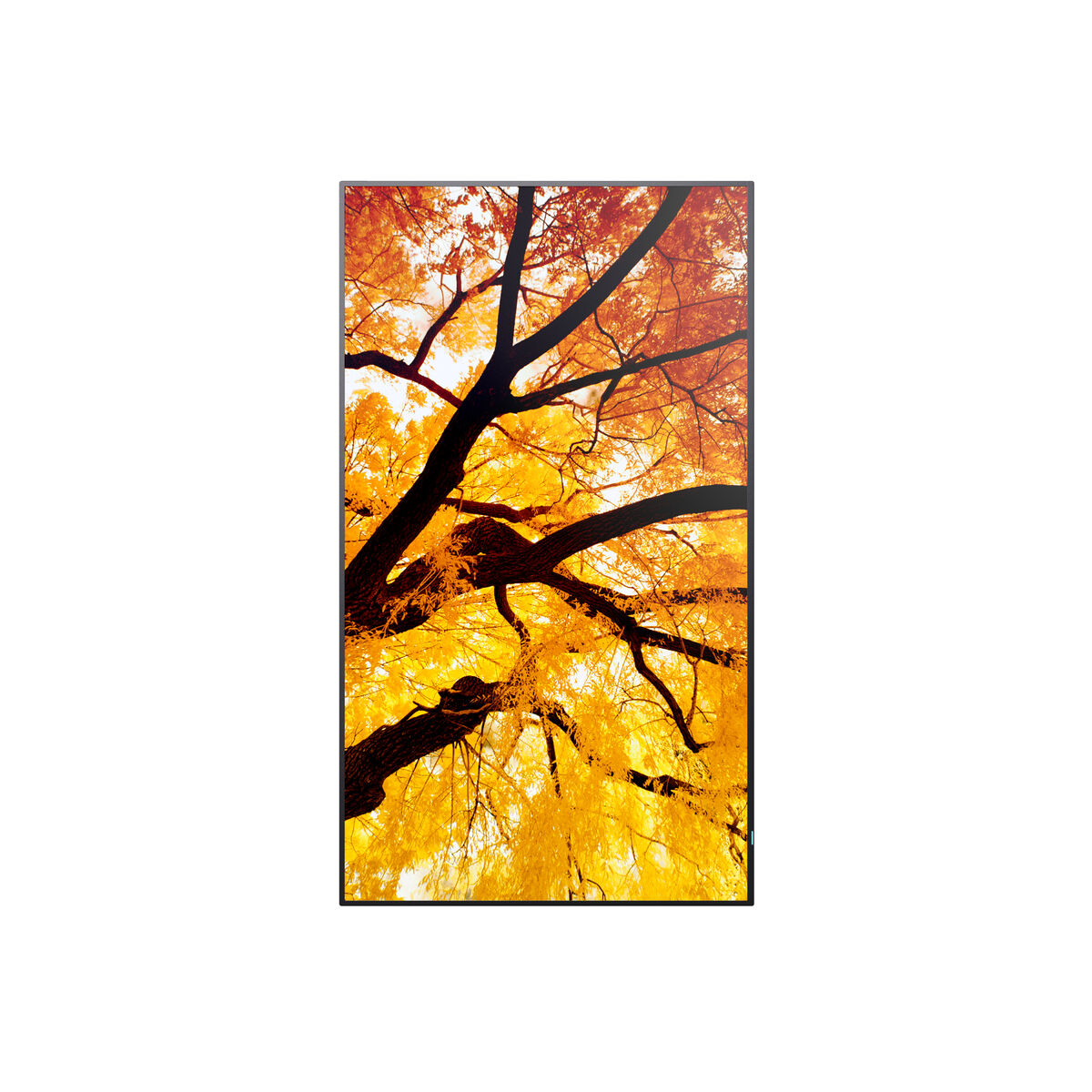 Sharp Videowall Monitor Sharp 60006052 Full Hd 32"