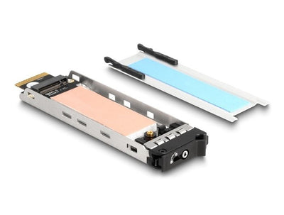 Delock 47037 Tray Indoor Rack Mobile Phone 1 X M.2 Nmve SSD Rack Mobile Phone 47028 — image 1