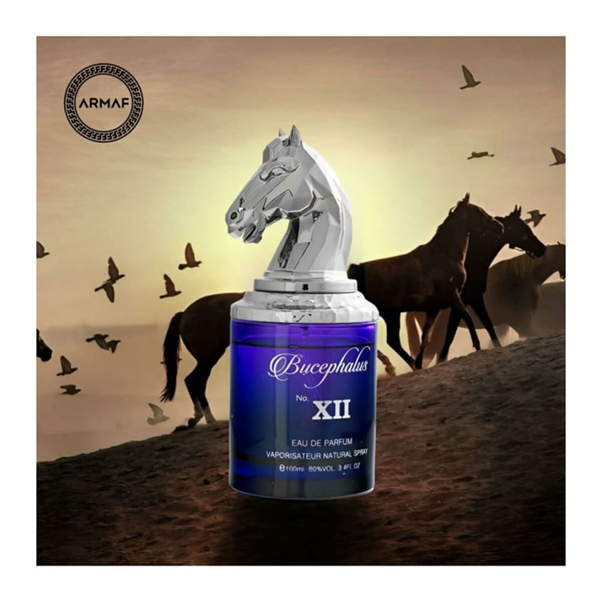 V4H1692DC1F5E22FCB6DEE85154E30BFD2DR6996012P3