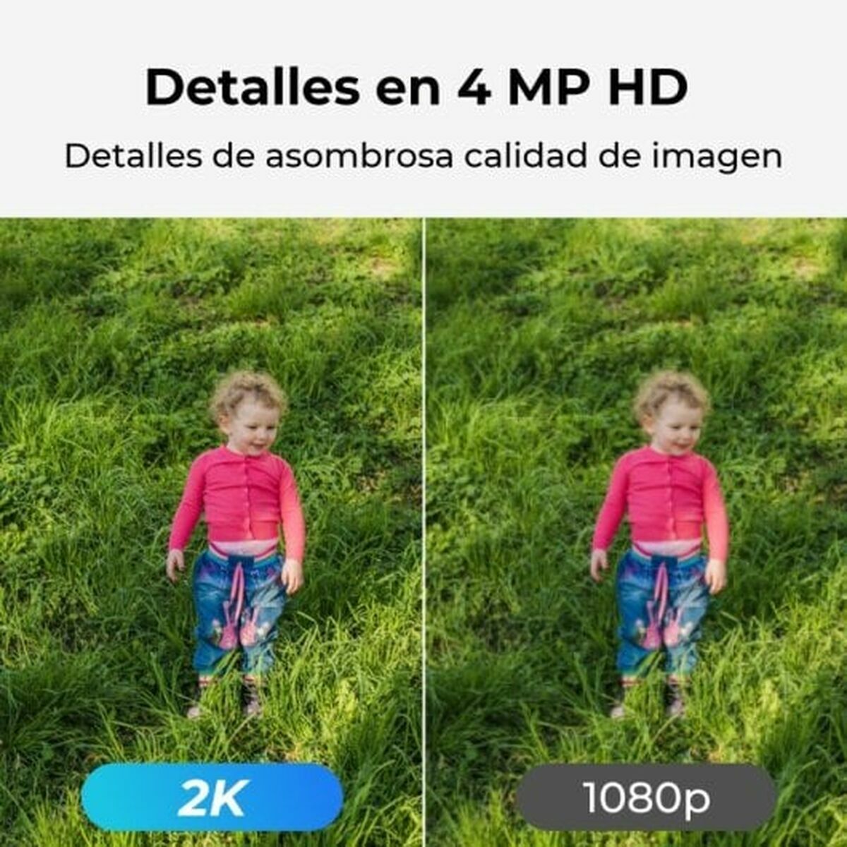 Reolink Surveillance Camcorder Reolink