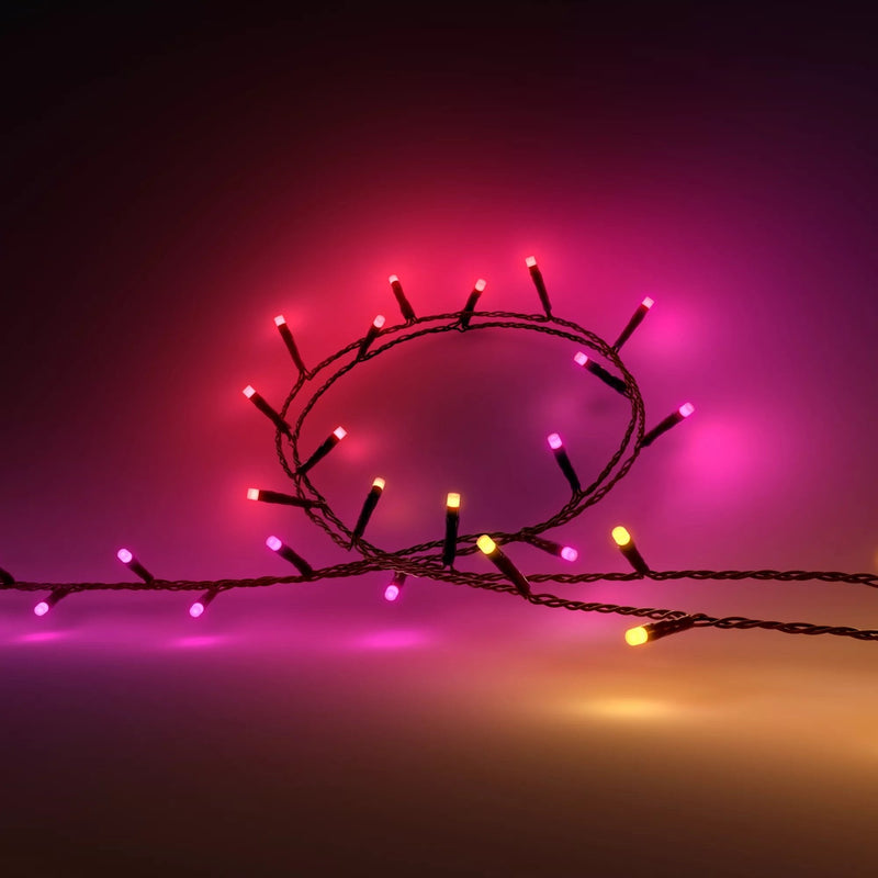 Philips Hue - Guirnalda Festavia, Luz Blanco Y Colores Ajustable 250 Micro LED 20M, Resistente al agua