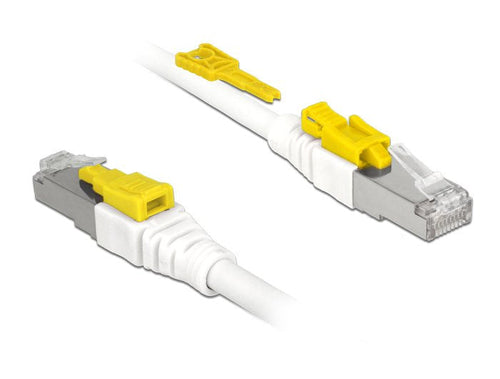 Delock Cable RJ45 Secure CAT.6A 1M — image 1