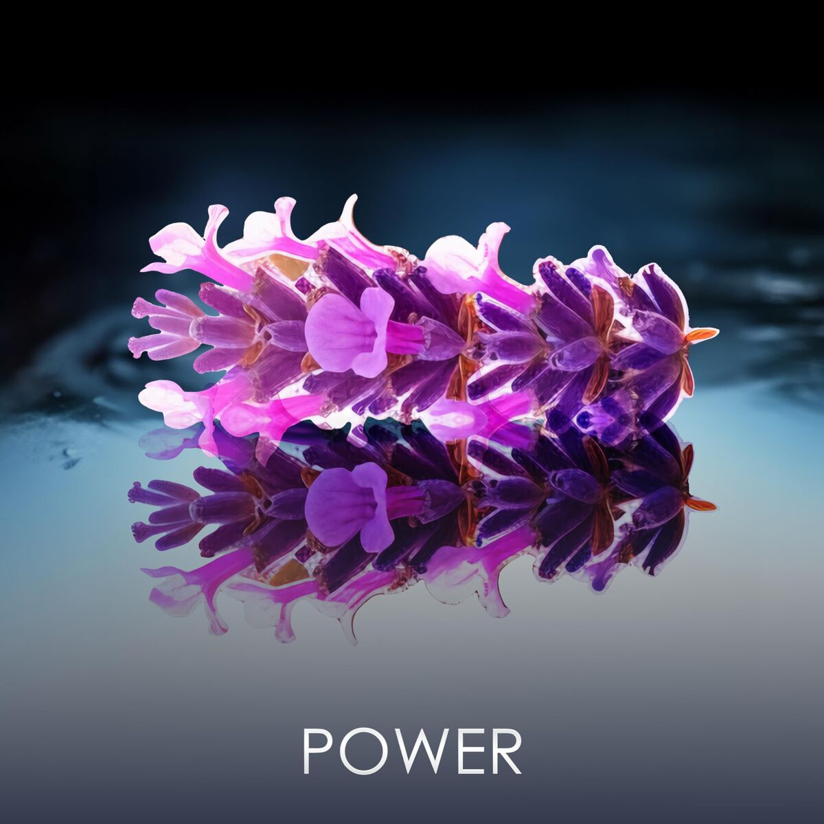 V4H4A36F6CA91908692C006B99824FA8A40R7401131P6