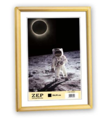 Zep New Easy Frame Resina Gold 13X18 KG2