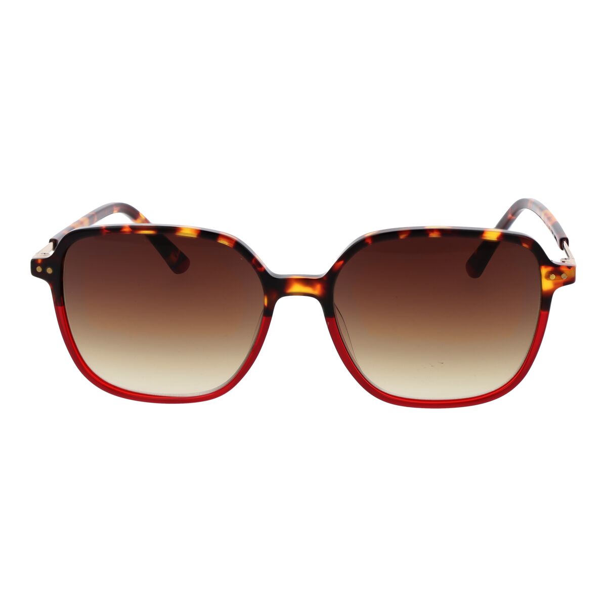 Replay Ladies' Sunglasses Replay Ry468V 5503S