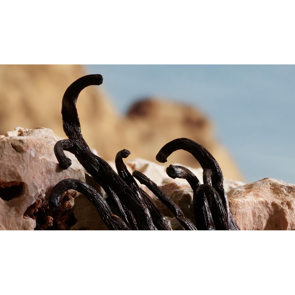 V2HCB2361B5473E46E2403D82A517187CC1R7744944P3