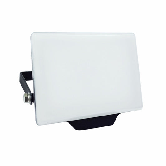 Silver Electronics Floodlight/Projector Light Silver Electronics 173302 Black G 20 W (Cool White)