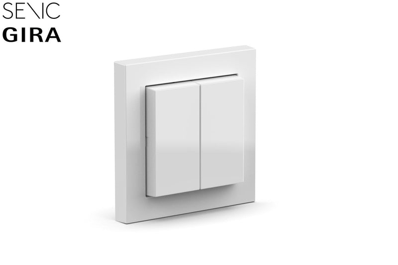Senic Friends Of Hue Smart Switch, 100156