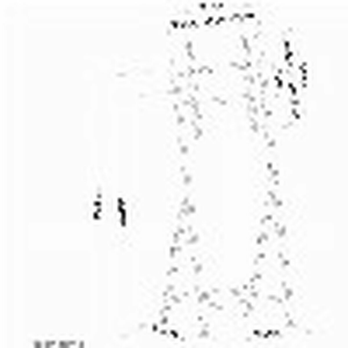 V5H2F37AB43DE8FB41F727D690C9CAFCF4FR5677975P8