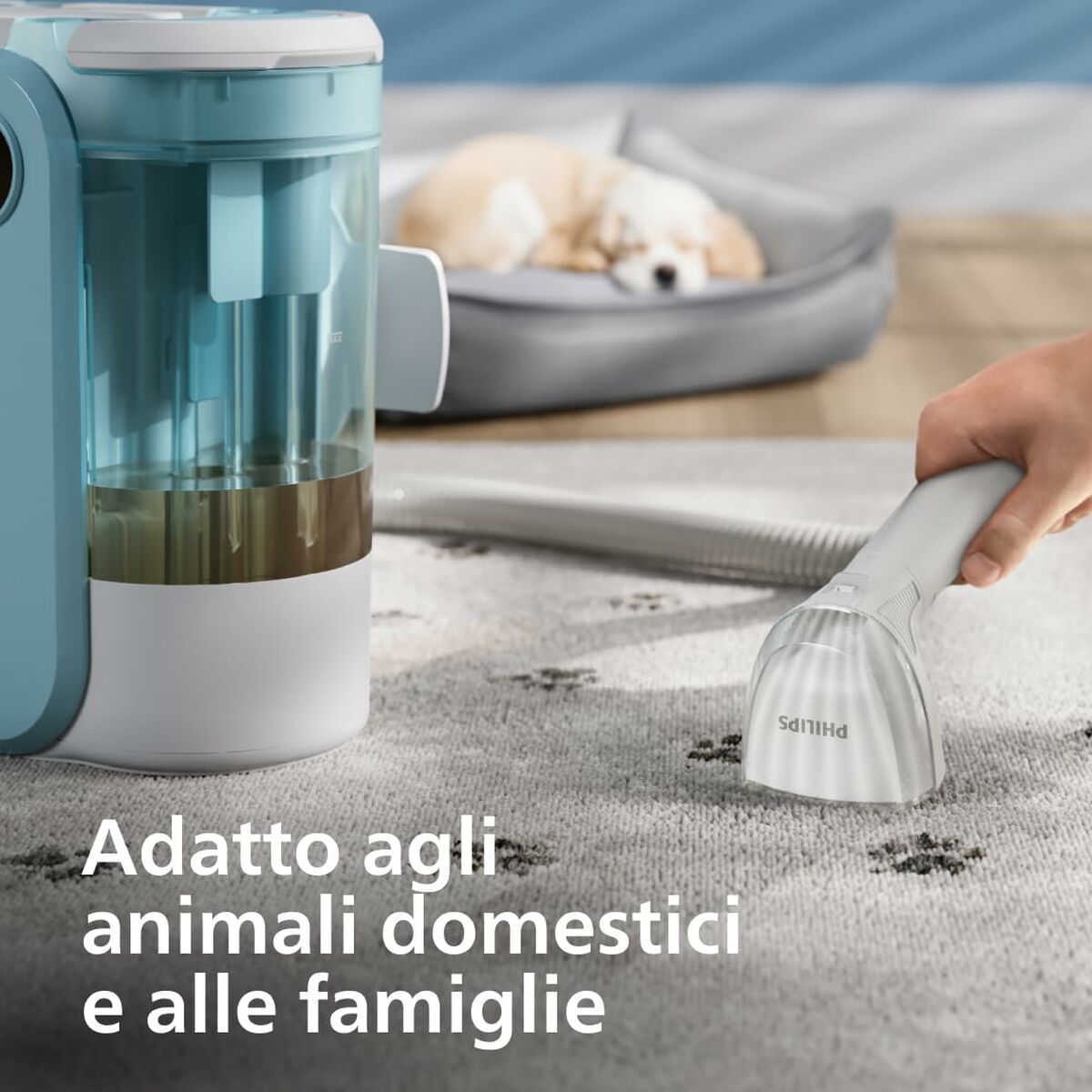 V5H012D4AEE94F3F6DEBD2D4EC8CFF3D6DER6291813P8