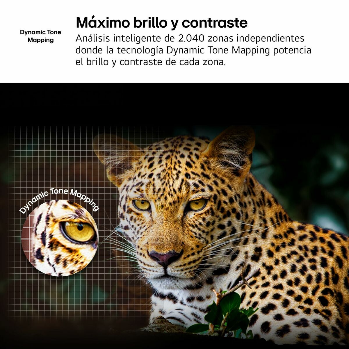 Lg Smart Tv Lg 75Ua75006La 75" 4K Ultra Hd Led Hdr D-Led