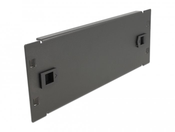 Delock 10 Gabinete Network Cover Ciega Without Tools 2 U Black