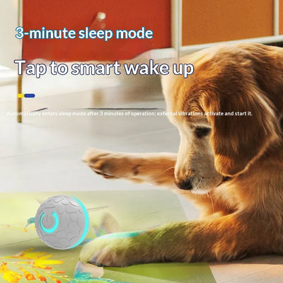 Smart Bouncing Ball Electric Charging Cat And Dog Toy Pet Dog Toy Ball