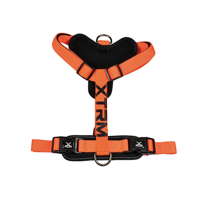 Arnés X-trm Cronos Neon Flash 60-100 X 2,5CM Orange