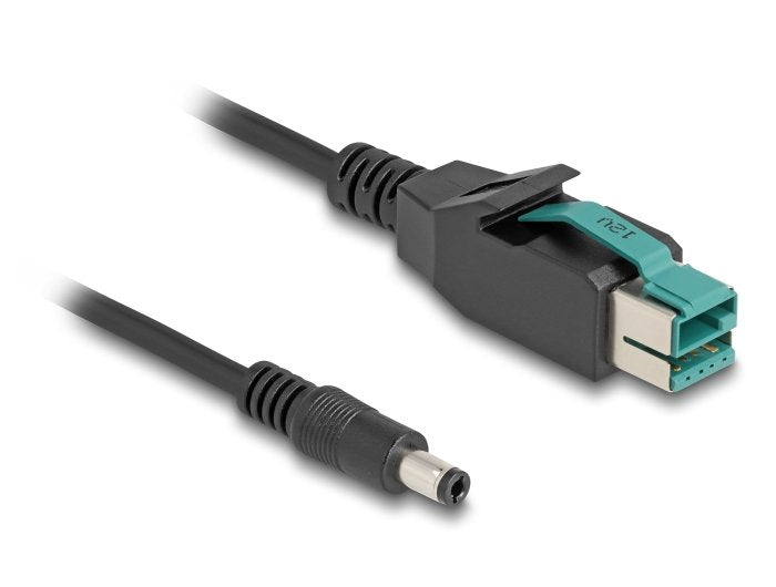 Delock 80497 Cable Poweredusb Male 12V a DC 5,5 X 2,5MM Male 3M
