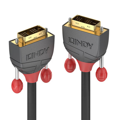 Lindy 36240 Cable DVI 10M DVI-d Black — image 1