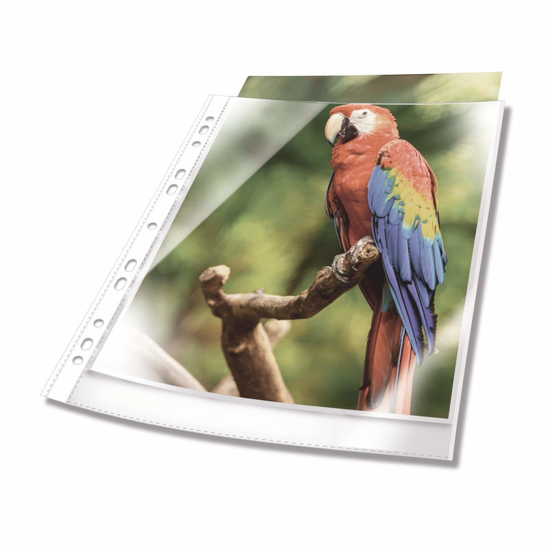 Durable Cases Documentos A4 Arriba Offen 25 Units Transparent Como Glass White