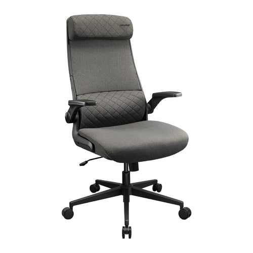 Cougar Chair Gaming Gaming Office-muhl Mryder, Moff, Grey — image 1