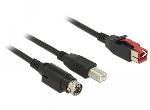 Delock 85488 Poweredusb Cable Male 24V USB Tipo-b Male + Hosiden Mini-din 3 Pines, Male 2M Printers And Termin — image 1