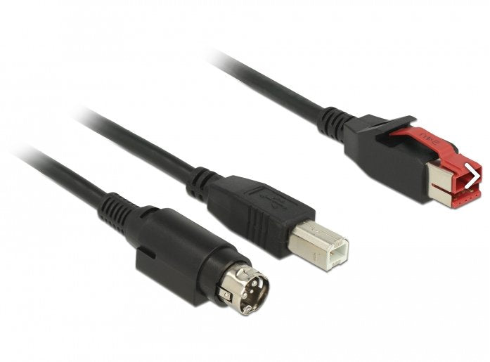 Delock 85488 Poweredusb Cable Male 24V USB Tipo-b Male + Hosiden Mini-din 3 Pines, Male 2M Printers And Termin
