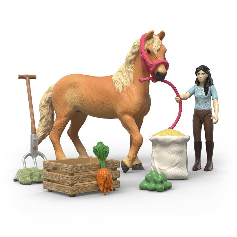 Schleich Horse Club Emily's Pflege Set 42797