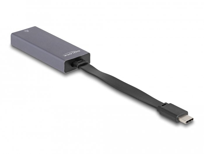 Delock 66248 Adapter USB Type-c™ a LAN Gigabit 2,5 Pulgadas