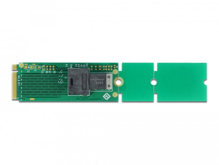 Delock Adapter M.2 Key M - SFF-8643 NVMe 22110 / 2280 / 2260