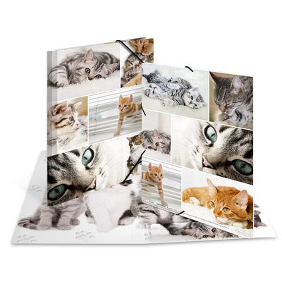 Herma Folder Cartón A4 Gatos — image 1