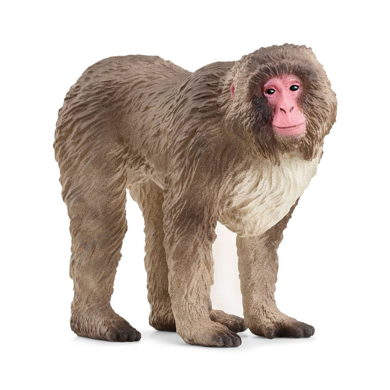 Schleich Wild Life Macaco Japonés, Figure Toy 14871