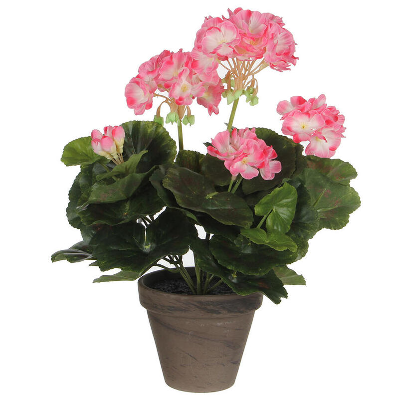 Geranio Colour White Rosado Pvc With Plant Pot