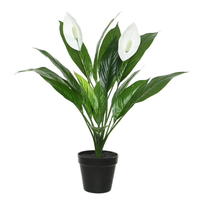 Plant Pot Espatifilo, Ø12 X 7 X 9,5CM