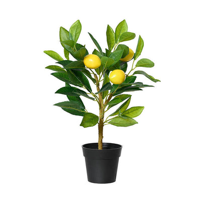 Plant Pot Limonero 17 X 24 X 43CM — image 1