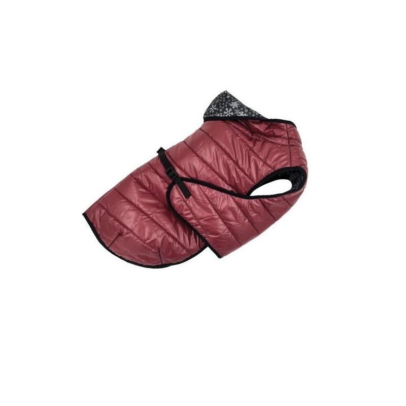 Pchelka Maurycy Kol.fiolet ROZ.40
