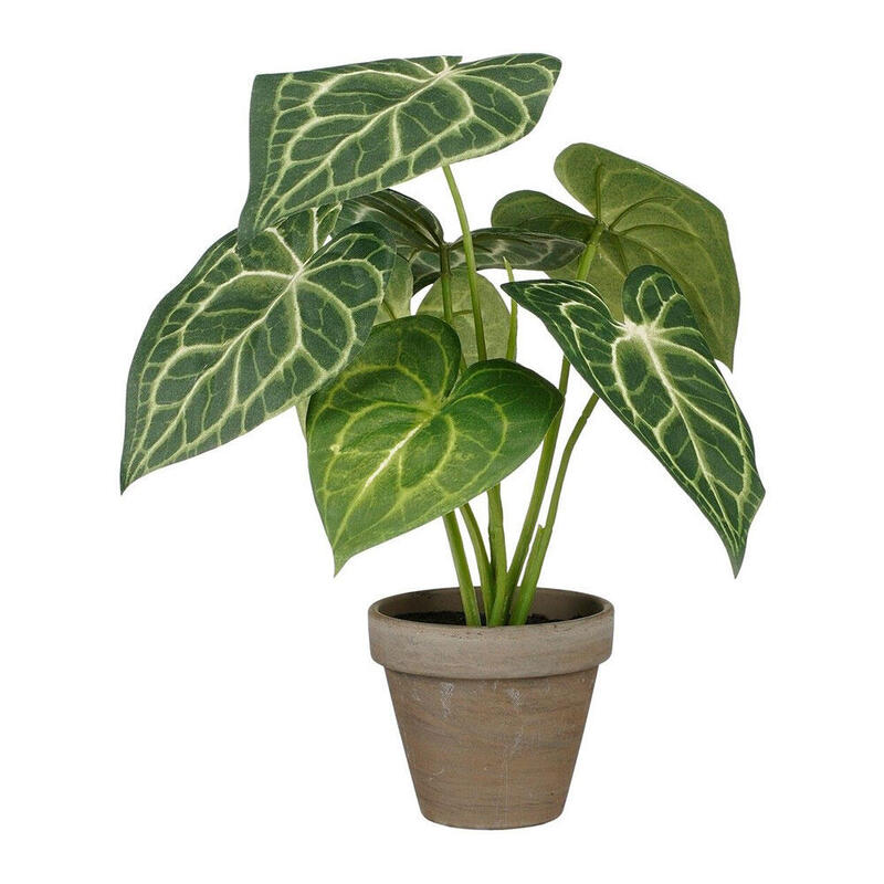 Planta Artificial Caladium Oreja Elefante Green With Plant Pot Ø21X28CM