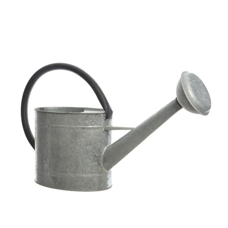 Watering Can Zinc 5 Litros Body Only Uso Decorativo